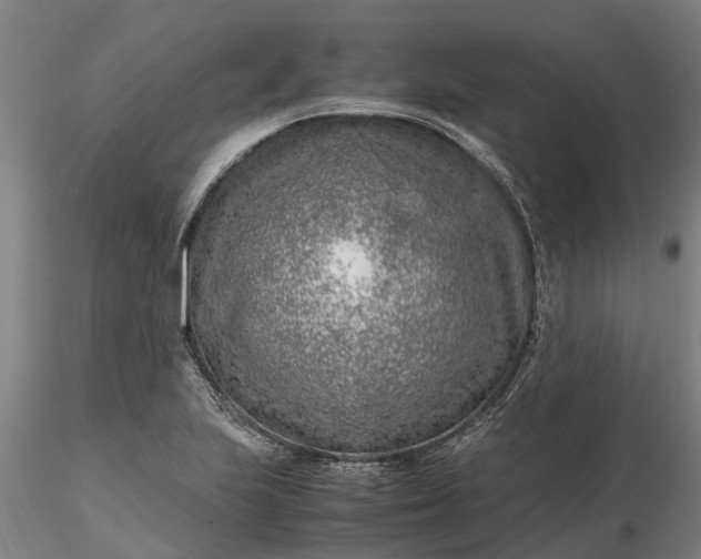 X0000116351223200912151343