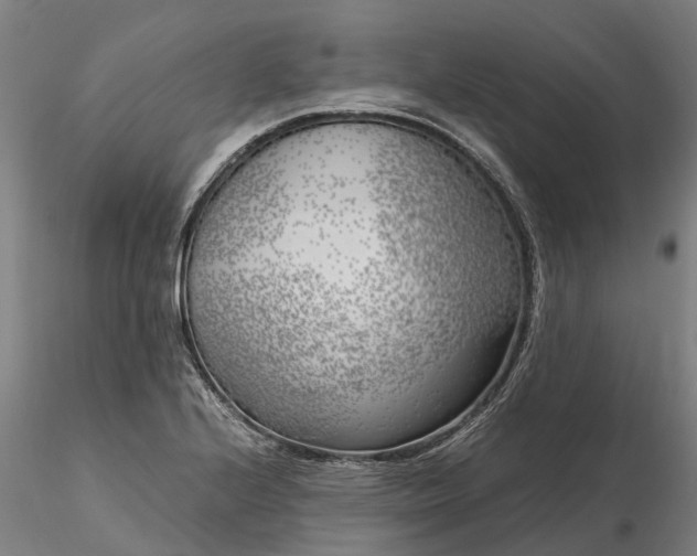 X0000116351224200912151343