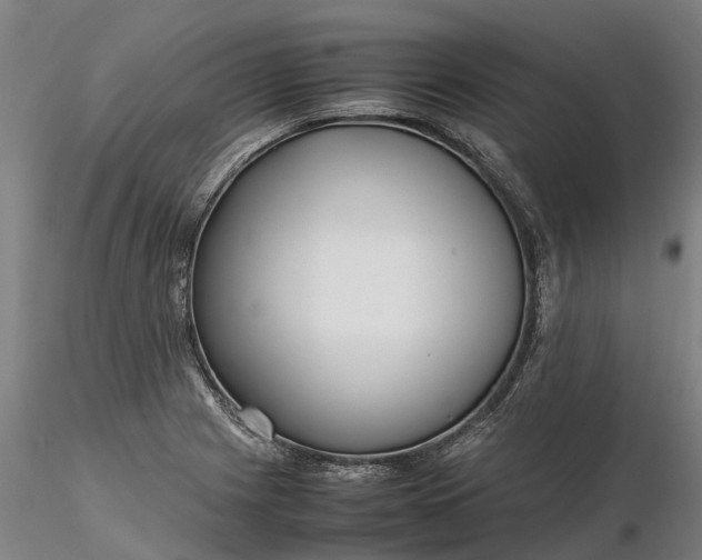 X0000116351225200912151343