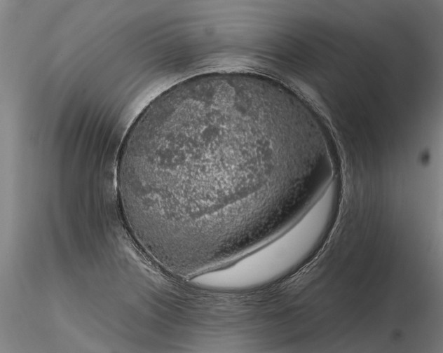 X0000116351226200912151343