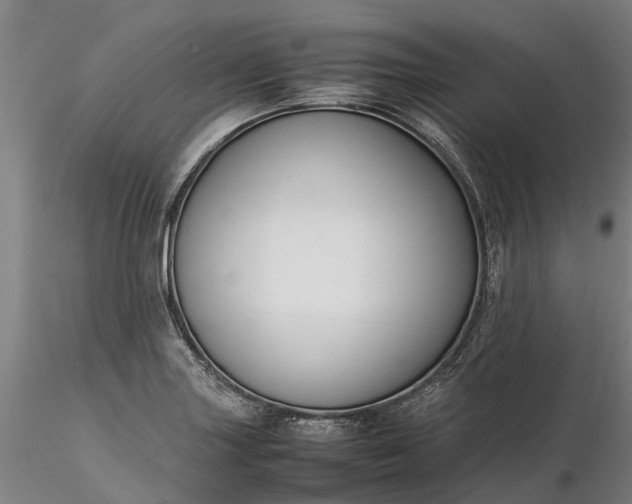 X0000116351227200912151343