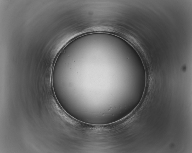 X0000116351228200912151343