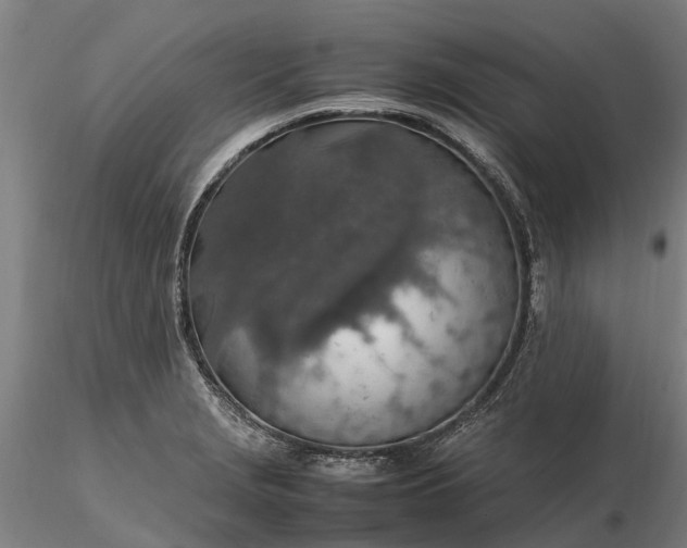 X0000116351229200912151343