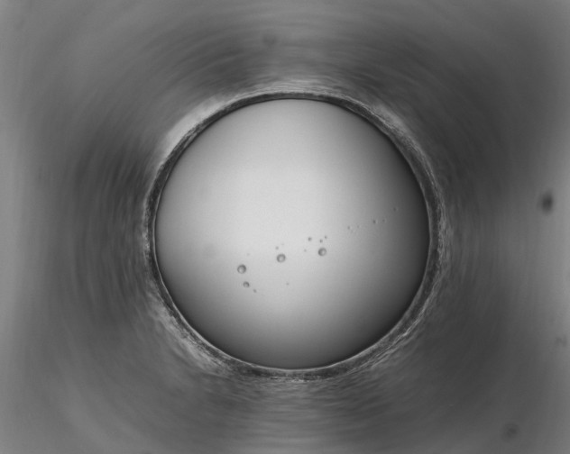 X0000116351230200912151343