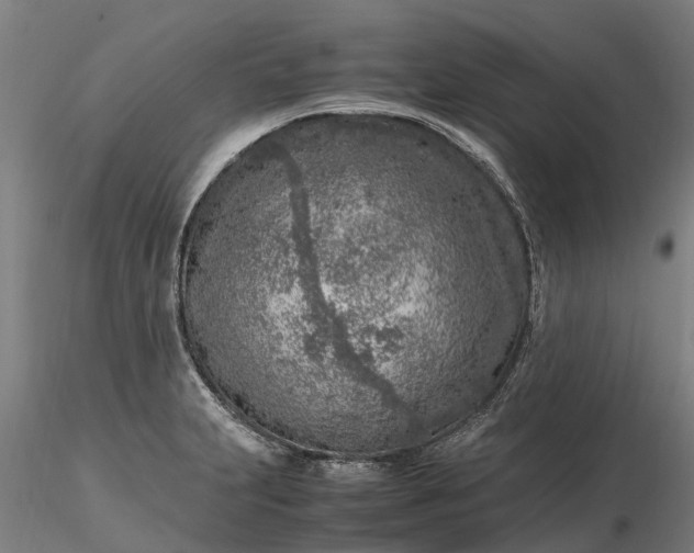 X0000116351231200912151343