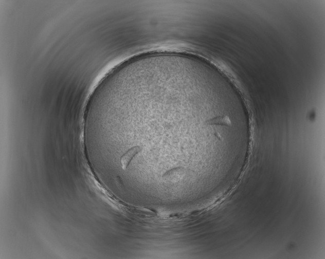 X0000116351232200912151343