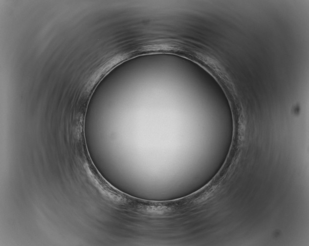 X0000116351233200912151343