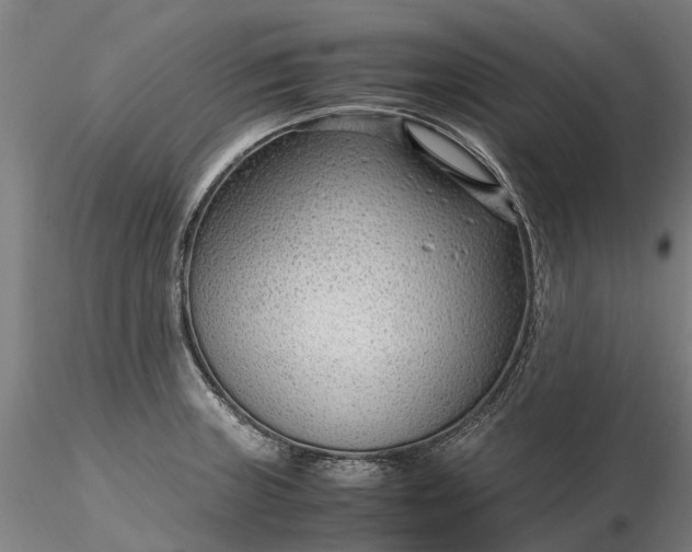 X0000116351235200912151343