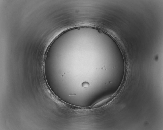 X0000116351236200912151343