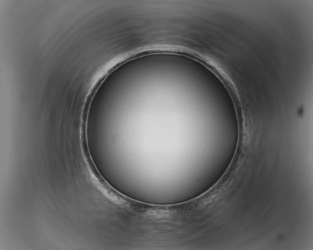 X0000116351237200912151343