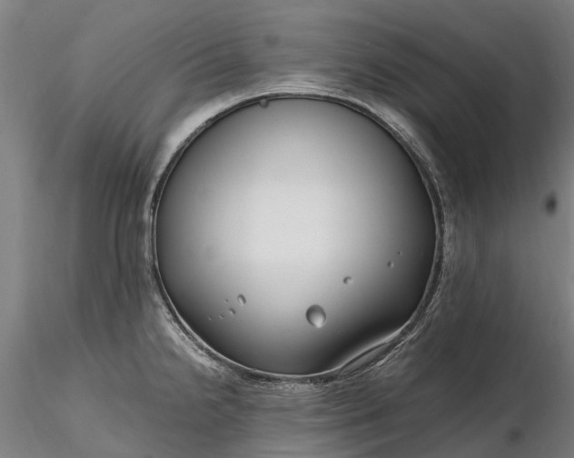 X0000116351238200912151343