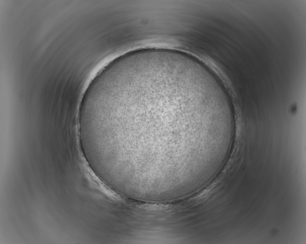 X0000116351240200912151343