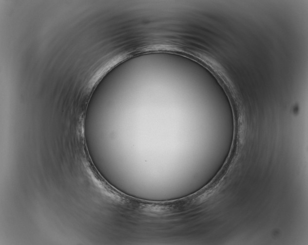 X0000116351241200912151343