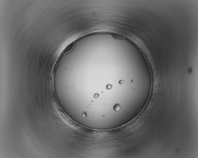 X0000116351242200912151343