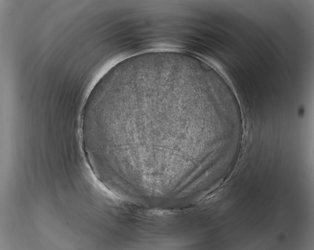 X0000116351243200912151343