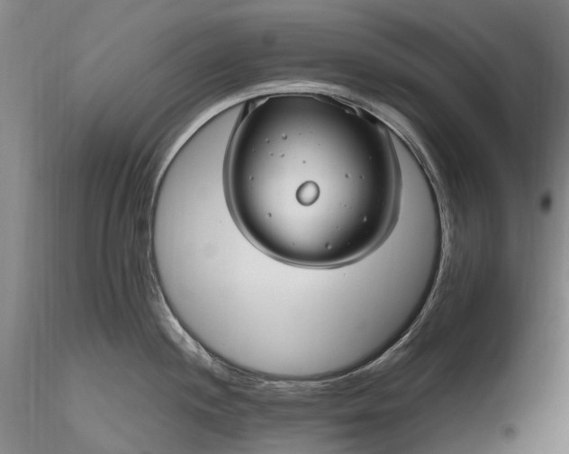 X0000116351244200912151343