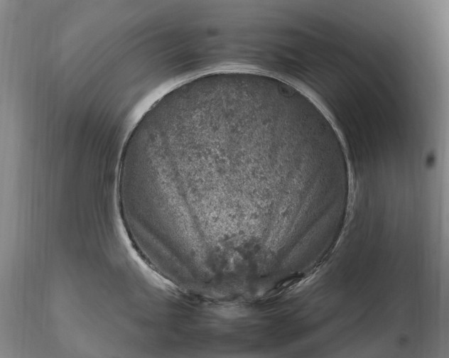 X0000116351245200912151343