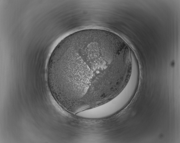 X0000116351246200912151343