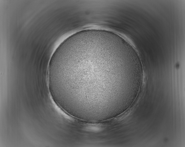 X0000116351247200912151343