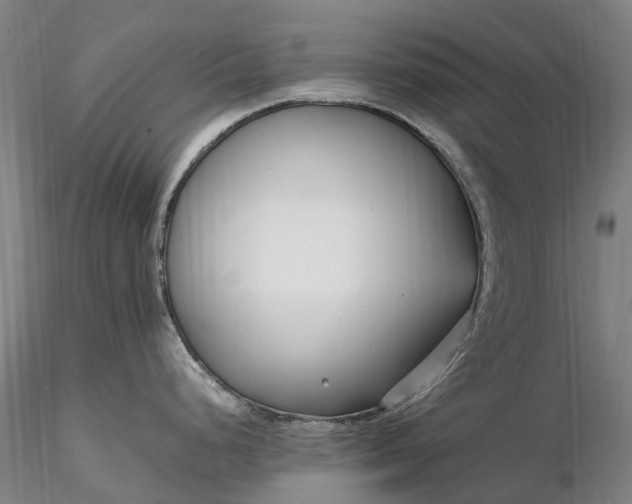 X0000116351248200912151343