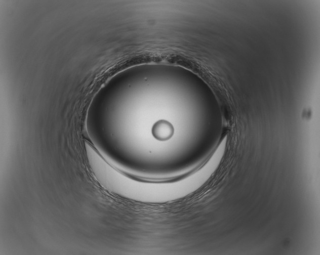 X0000116351249200912151343