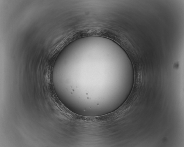 X0000116351250200912151342