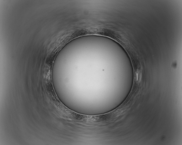 X0000116351251200912151342