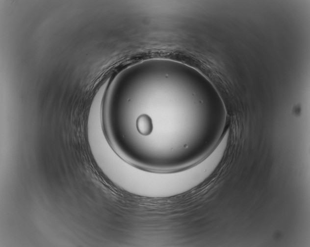 X0000116351252200912151342