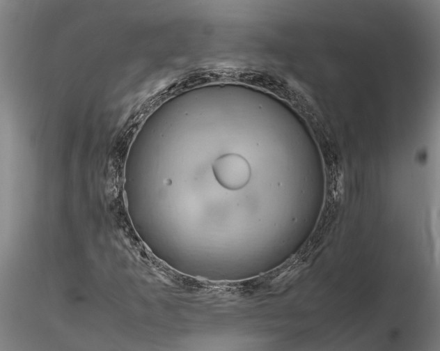 X0000116351253200912151342