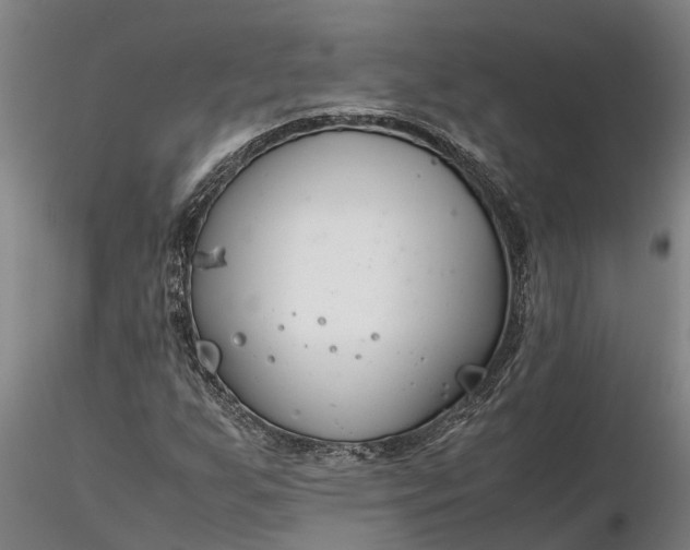 X0000116351255200912151342