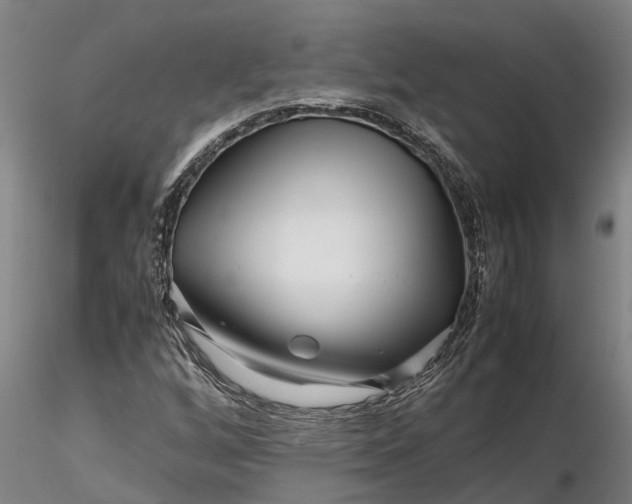 X0000116351256200912151342