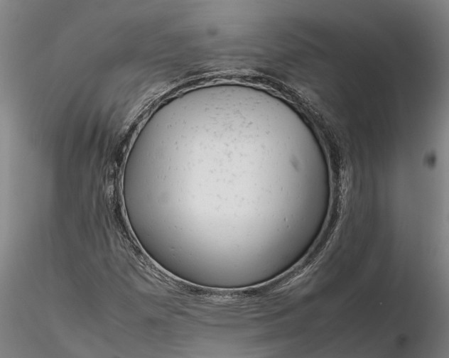 X0000116351257200912151342