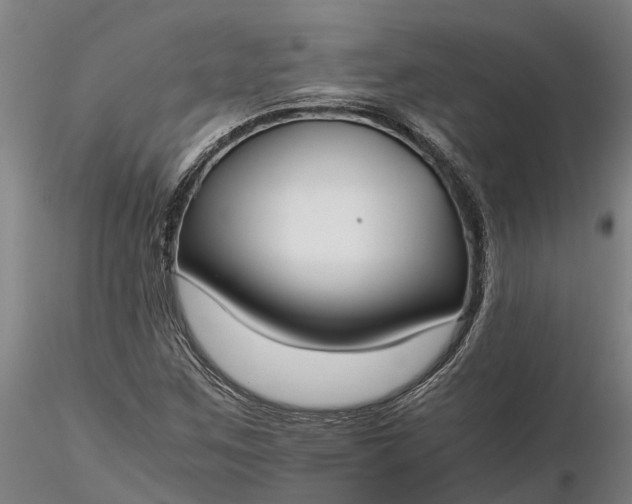 X0000116351259200912151342