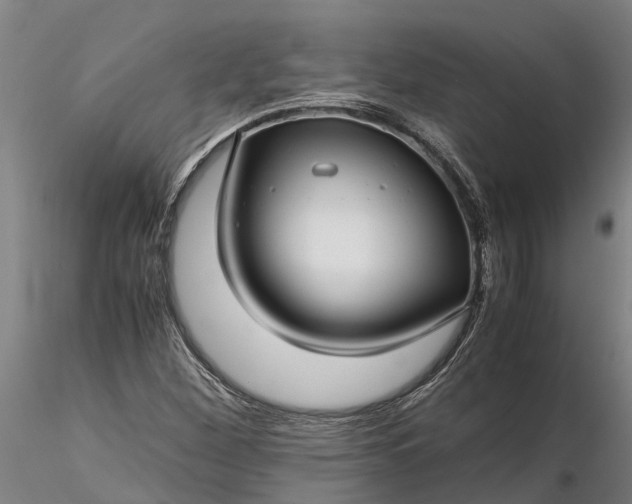 X0000116351260200912151342