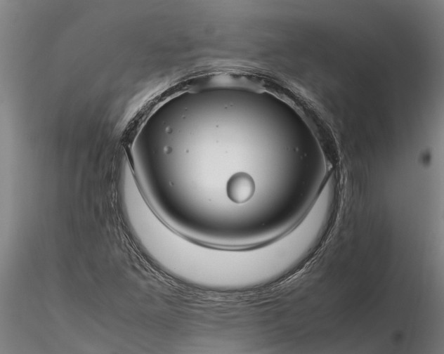 X0000116351261200912151342