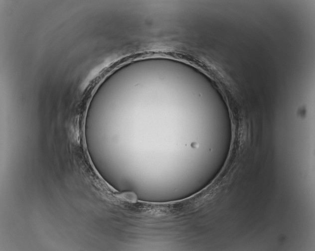 X0000116351262200912151342