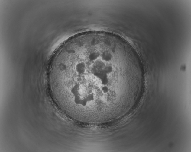 X0000116351263200912151342