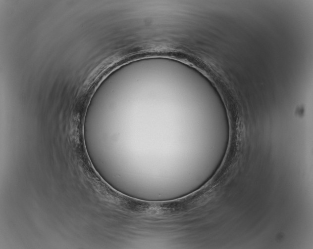 X0000116351265200912151342