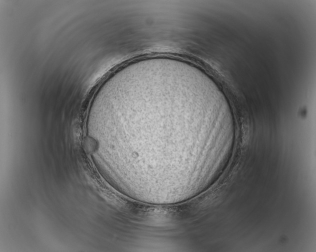 X0000116351266200912151342