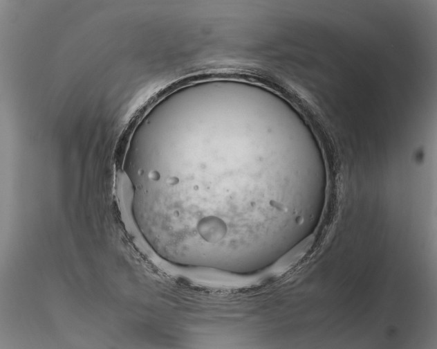 X0000116351267200912151342