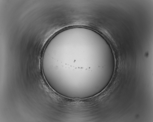 X0000116351268200912151342