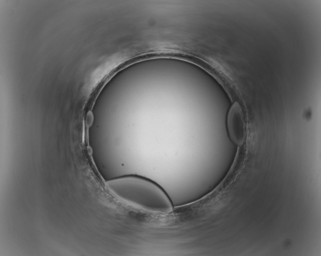 X0000116351269200912151342