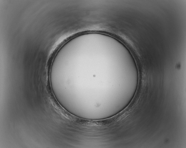 X0000116351270200912151342