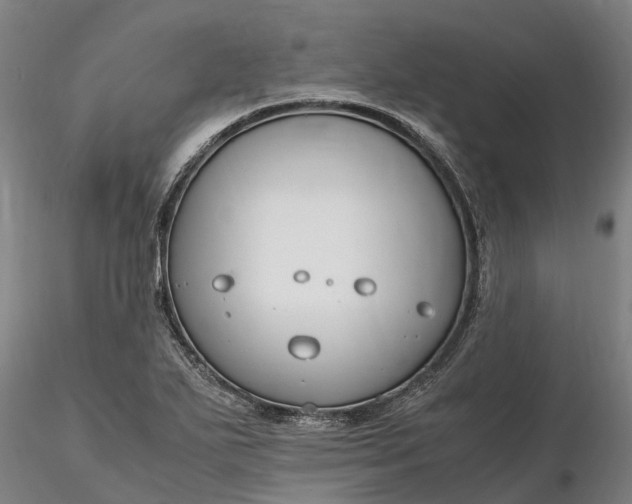 X0000116351271200912151342