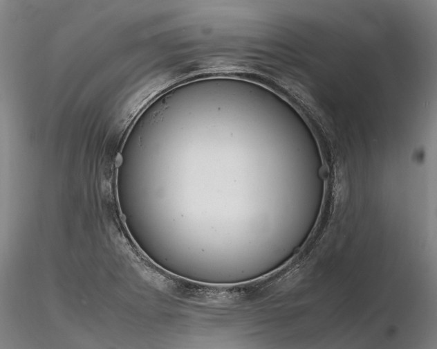 X0000116351273200912151342