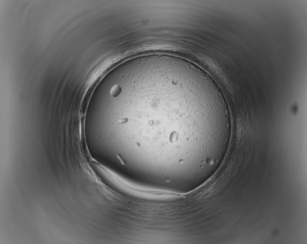 X0000116351274200912151342