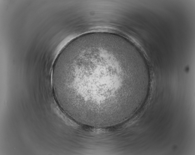 X0000116351275200912151342