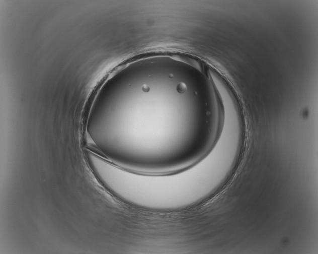 X0000116351277200912151342