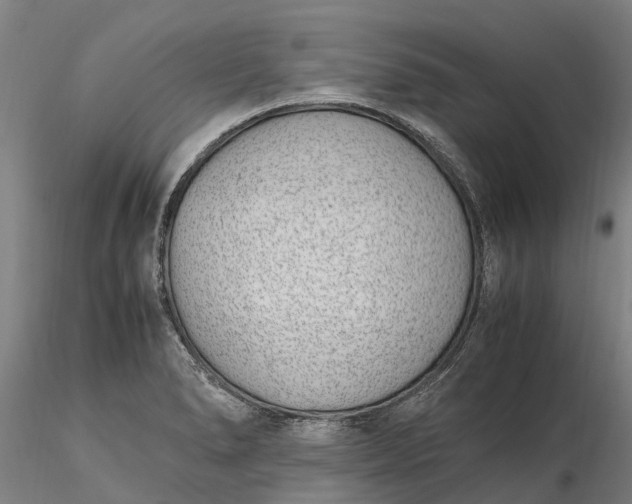 X0000116351278200912151342