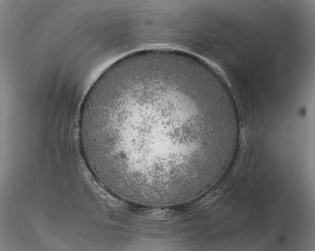 X0000116351279200912151342